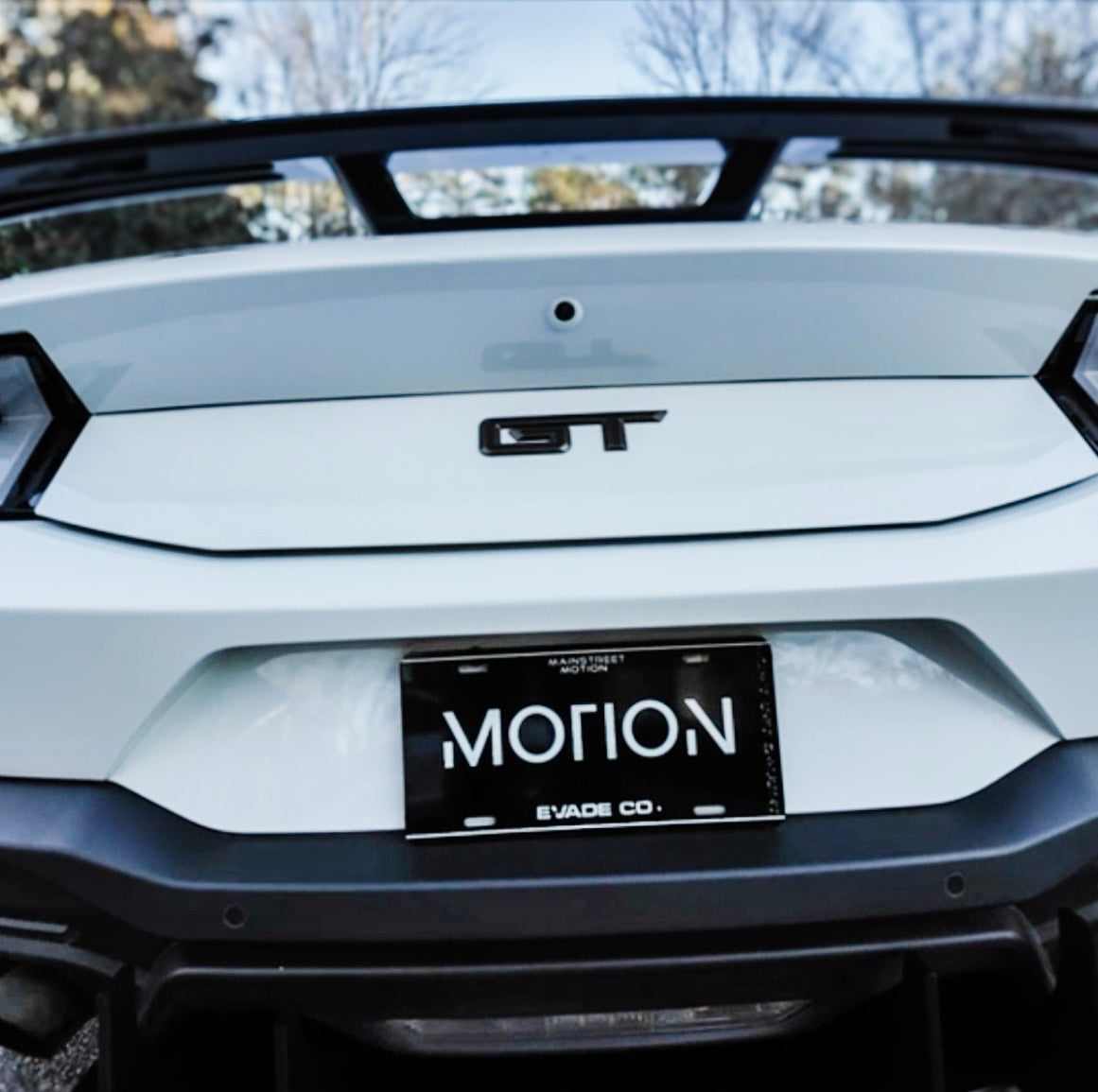 "Motion" Plate